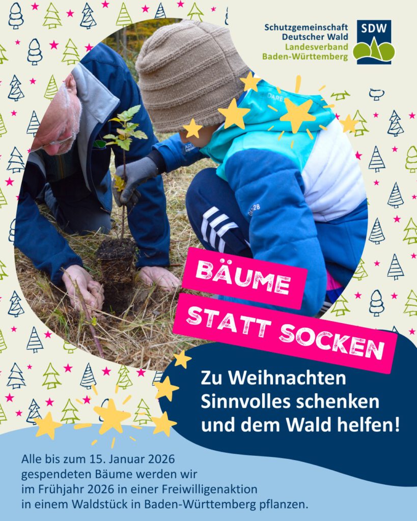 Insta-Posts NEU 2025 - Veranstaltungshinweis (3)